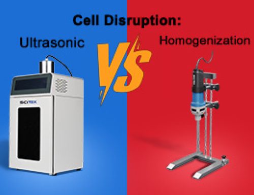 Cell Disruption: Ultrasonic vs Homogenization