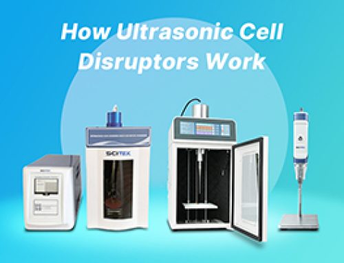 How Ultrasonic Cell Disruptors Work